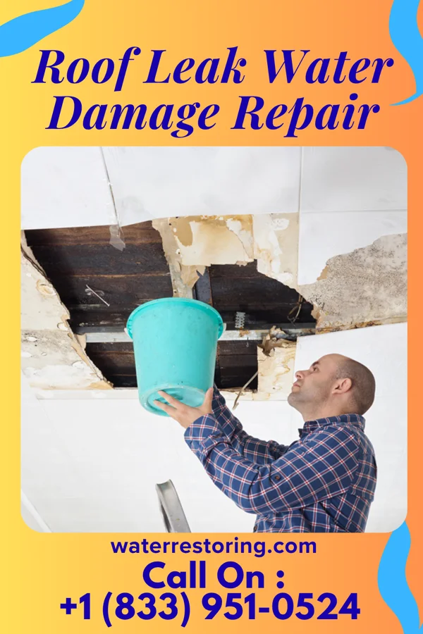 Roof Leak Water Damage Repair in Neck City, MO