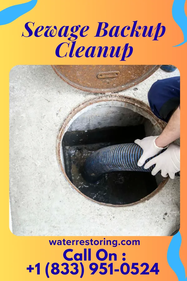Sewage Backup Cleanup in Neck City, MO