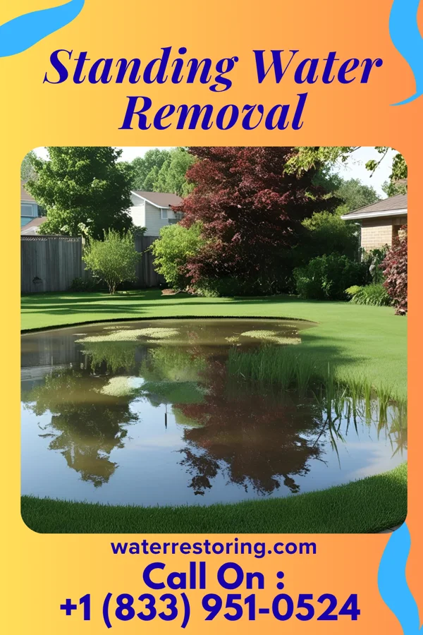Standing Water Removal in Neck City, MO